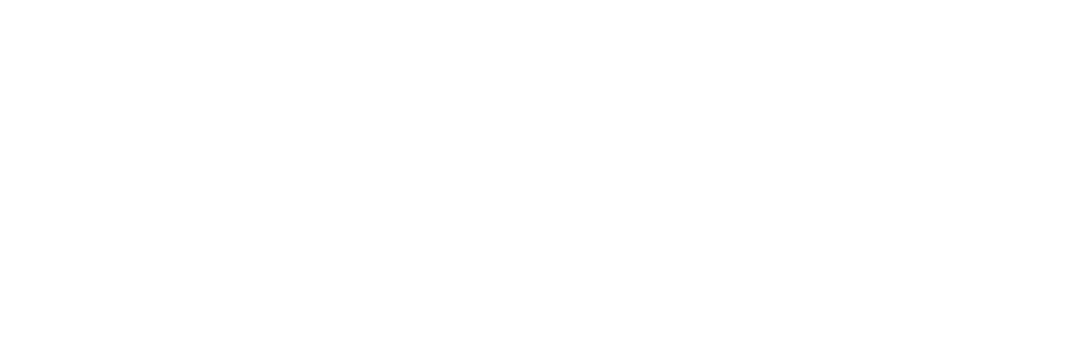venise pass